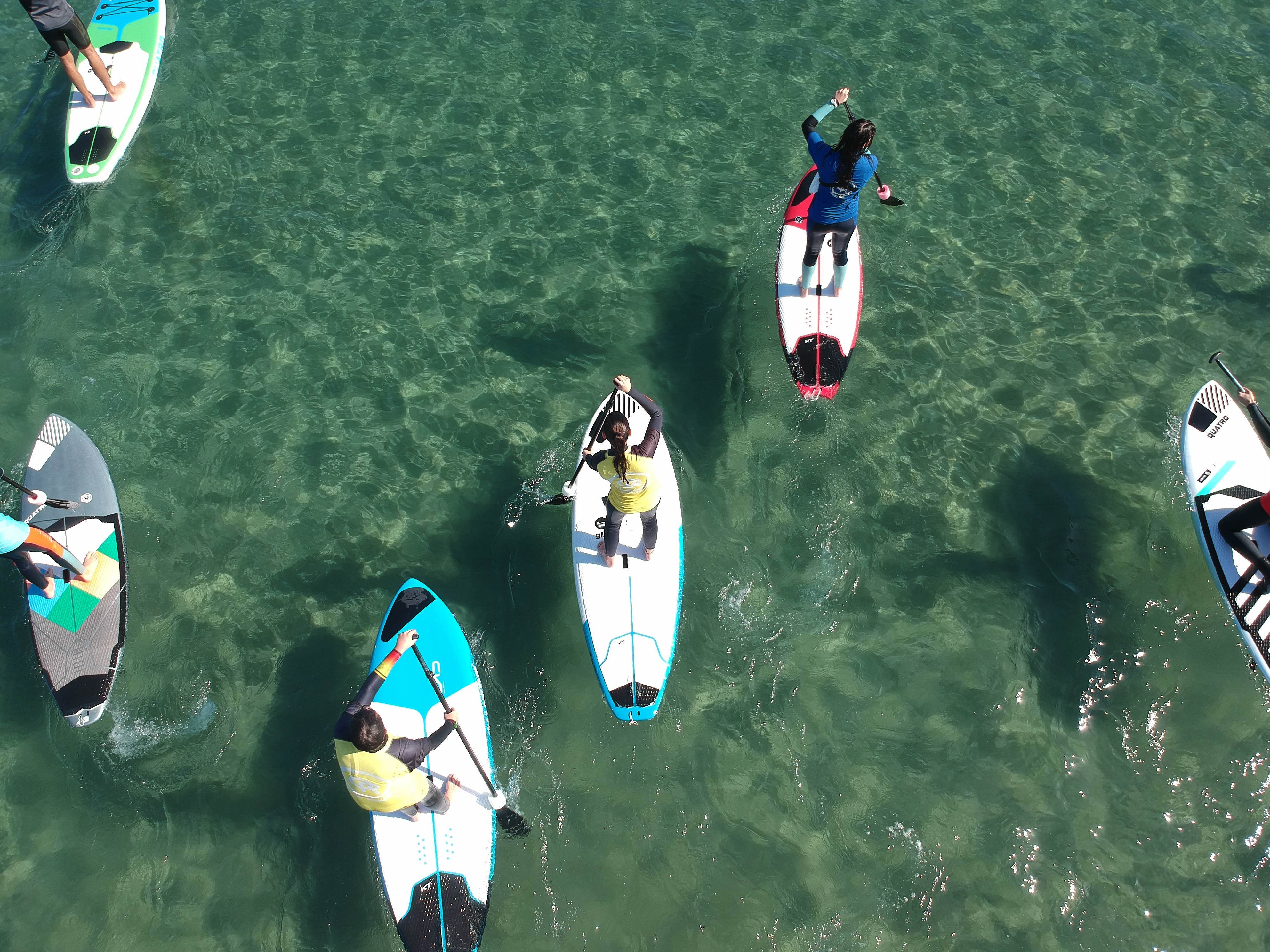 paddle surf